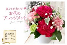 丸くてかわいいお花のアレンジメント [池川”FLOWER”生花店 北海道 砂川市 12260609] 花 花束 アレンジメント カーネーション 母の日 誕生日 プレゼント ギフト レビューキャンペーン