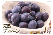 ＜先行受付＞プルーン 500g×2p [三谷果樹園 北海道 砂川市 12260525] 果物 フルーツ 国産 生 プルーン 生プルーン 期間限定 