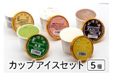 【牧場直送】 アイス 120ml ×5種 計5個 食べ比べ [岩瀬牧場 北海道 砂川市 12260519] ジェラート アイスクリーム スイーツ デザート スウィーツ  おやつ レビューキャンペーン