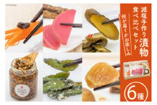 無添加 減塩 手作り 漬物 6種  食べ比べ セット [たびのそら 北海道 砂川市 12260517] 冷蔵 漬け物 つけもの 個包装 レビューキャンペーン