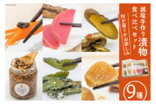 無添加 減塩 手作り 漬物 9種  食べ比べ セット [たびのそら 北海道 砂川市 12260518] 冷蔵 漬け物 つけもの 個包装 レビューキャンペーン