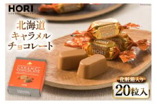 チョコレート 北海道キャラメルチョコレート 20粒入 1箱 [砂川ハイウェイオアシス観光 北海道 砂川市 12260827] チョコレート菓子 チョコ 菓子 お菓子 個包装 ばらまき スイーツ レビューキャンペーン