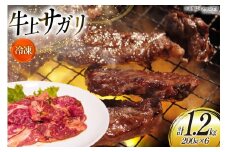 サガリ 牛 上サガリ 200g 6パック 計1.2kg [焼肉銀座園 北海道 砂川市 12260732-c] 冷凍 焼肉 焼き肉 牛肉 肉 小分け やきにく レビューキャンペーン