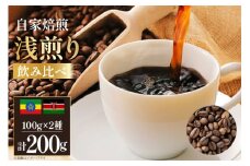 コーヒー豆 自家焙煎 浅煎り 100g 2種 計200g 飲み比べ セット シングルオリジン [フライヤーズ・カンパニー 北海道 砂川市 12260779] スペシャルティコーヒー 珈琲豆 焙煎 コーヒー 珈琲 こーひー 飲み比べセット レビューキャンペーン