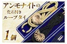 北海道産 アンモナイト ループタイ 1個 / 加藤樹石苑 / 北海道 歌志内市 [01227ai012]
