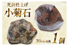 北海道産 小菊石 1個（30cm前後） / 加藤樹石苑 / 北海道 歌志内市 [01227ai014]