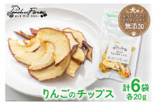 ドッグフード 無添加 りんごのチップス 20g×6袋 ペット 犬用 おやつ [ピーチアンドフラワー 北海道 歌志内市 01227ae003]							