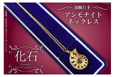 ネックレス レディース 化石 アンモナイト 婦人用ネックレス 1個 [加藤樹石苑 北海道 歌志内市 01227ai069] 婦人用 婦人 シンプル 大人