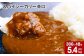 スパイシーカリー辛口(レトルト) 300g×18袋