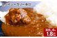 スパイシーカリー辛口(レトルト) 300g×6袋