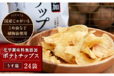 化学調味料無添加ポテトチップス うす塩(60g×24袋)