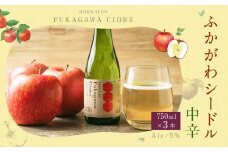北海道深川市産りんご使用 果実酒 ふかがわシードル＜中口＞ 750ml×3本セット