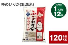 《先行予約》【12回定期便】北海道深川産 ゆめぴりか(無洗米) 10kg(5kg×2袋)