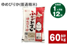 《先行予約》【12回定期便】北海道深川産 ゆめぴりか(普通精米) 5kg