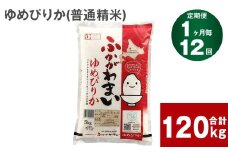 《先行予約》【12回定期便】北海道深川産 ゆめぴりか(普通精米) 10kg(5kg×2袋)