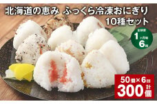 【1ヶ月毎6回定期便】 北海道の恵み ふっくら冷凍おにぎり 10種セット 50個✕6回 計300個 米 お米 おにぎり