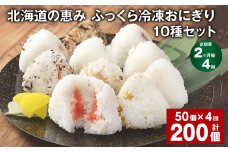 【2ヶ月毎4回定期便】 北海道の恵み ふっくら冷凍おにぎり 10種セット 50個✕4回 計200個 米 お米 おにぎり