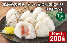 【1ヶ月毎4回定期便】 北海道の恵み ふっくら冷凍おにぎり 10種セット 50個✕4回 計200個 米 お米 おにぎり