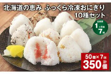 【1ヶ月毎7回定期便】 北海道の恵み ふっくら冷凍おにぎり 10種セット 50個✕7回 計350個 米 お米 おにぎり