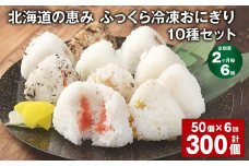 【2ヶ月毎6回定期便】 北海道の恵み ふっくら冷凍おにぎり 10種セット 50個✕6回 計300個 米 お米 おにぎり