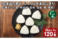【1ヶ月毎4回定期便】 北海道の恵み ふっくら冷凍おにぎり（鮭・明太子・昆布・高菜・鯖・鰹節） 6種セット 計120個 （各5個✕1パック） 米 お米 おにぎり