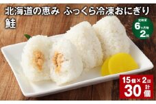 【6ヶ月毎2回定期便】 北海道の恵み ふっくら冷凍おにぎり（鮭） 計30個（15個✕2回） 米 お米 おにぎり