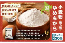【6ヶ月定期便】北海道産 ゆめちから【強力粉】 5kg（1kg×5袋） 計30kg 国産 小麦粉 中力粉