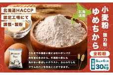 【6ヶ月定期便】北海道産 ゆめちから（全粒粉） 5kg（1kg×5袋） 計30kg 国産 小麦粉 強力粉 強力小麦粉