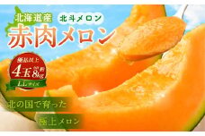 ＜先行予約＞北斗メロン（LLサイズ）4玉（合計約8kg）【2025年6月下旬-7月下旬 順次発送予定】メロン 果物 くだもの フルーツ