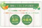 北斗メロン（LLサイズ）4玉（合計約8kg）