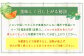 北斗メロン（LLサイズ）4玉（合計約8kg）