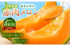 ＜先行予約＞北斗メロン（ Lサイズ） 5玉（合計約7.5kg）【2025年6月下旬-7月下旬 順次発送予定】フルーツ メロン 果物