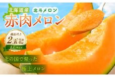 ＜先行受付＞北海道産 北斗メロン「赤肉メロン」〈LLサイズ〉2玉（優品以上／2玉で約4kg）【2025年6月下旬-7月下旬 順次発送予定】メロン 果物 くだもの フルーツ