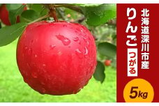 【令和7年産 先行受付】北海道深川市産 りんご（つがる） 5kg【2025年9月下旬-10月下旬 発送予定】林檎 リンゴ フルーツ デザート お取り寄せ