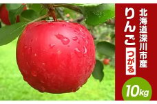 【令和7年産 先行受付】北海道深川市産 りんご（つがる） 10kg【2025年9月下旬-10月下旬 発送予定】林檎 リンゴ フルーツ デザート お取り寄せ