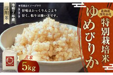 《令和7年産 特別栽培米》北海道産ゆめぴりか（玄米） 5kg 【2025年10月下旬-2025年12月上旬 発送予定】 お米 米 玄米 ご飯 ごはん