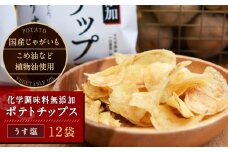 化学調味料無添加ポテトチップス うす塩(60g×12袋)