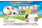 純国産 ポテトチップス のり塩 12袋