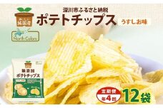 【年4回定期便／3ヶ月毎】純国産 ポテトチップス うすしお味 12袋 合計48袋 ポテチ 芋 菓子 お菓子 おかし スナック おつまみ ジャガイモ じゃがいも 大量 まとめ買い 北海道