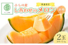 ふらの産　しあわせのメロン(赤肉×2玉 計約4kg)【1253236】