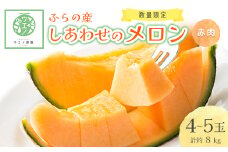 ふらの産　しあわせのメロン(赤肉×4～5玉 計約8kg)【1253248】