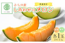 ふらの産　しあわせのメロン(赤肉1玉・青肉1玉 計約4kg)【1254167】