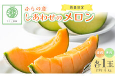 ＜先行受付　2026年発送＞ふらの産　しあわせのメロン(赤肉1玉・青肉1玉 計約4kg)【1254167】
