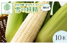 “朝もぎ”ホワイトコーン「雪の妖精」10本_ コーン とうもろこし トウモロコシ ホワイトコーン 北海道 国産 産地直送 送料無料 甘い 数量限定 冷蔵 野菜 朝もぎ 冷蔵 野菜 人気 お取り寄せ おすすめ スイートコーン 【1254169】