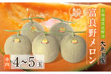 ＜先行予約＞富良野メロン　赤肉4～5玉　北海道富良野市『大島農園』_ メロン 富良野メロン 赤肉 赤肉メロン 北海道 富良野 果物 くだもの ギフト プレゼント 贈り物 ふるさと 【1261686】