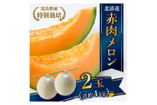 ”特別栽培”富良野産メロン　北添花orR113U(赤肉メロン2玉　計約4kg)【1251250】