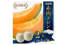 ＜2026年6月下旬順次発送・先行受付＞＞　富良野産メロン　北添花(赤肉メロン2玉　計約4kg)【1251250】