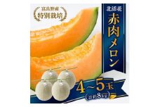 ”特別栽培”富良野産メロン　北添花(赤肉メロン4～5玉　計約8kg)【1251251】