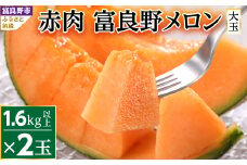 ＜入金確認後順次発送中＞富良野メロン赤肉　厳選　2玉(大玉) 　富良野市人気のおいしいフルーツ_ メロン ふらのメロン フルーツ 果物 くだもの 北海道 富良野市 富良野 ギフト プレゼント 人気 美味しい 赤肉 赤肉メロン 贈答 国産 産地直送 常温 おすすめ 【1257988】