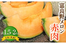 富良野メロン赤肉　1玉(大玉)_ メロン 富良野メロン 赤肉 赤肉メロン 果物 くだもの 北海道 富良野 ギフト プレゼント 贈り物 ふるさと 【1260650】